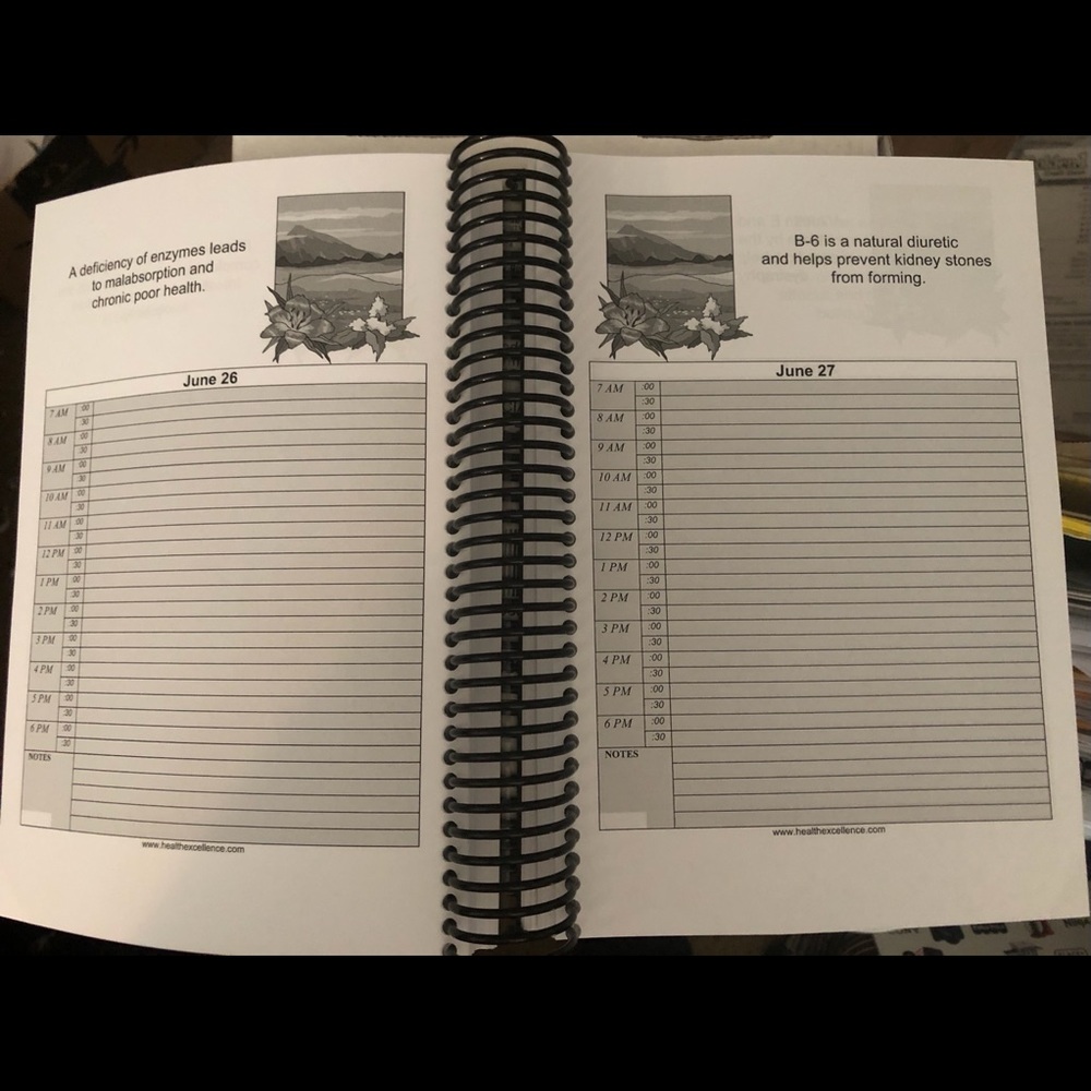 Calendar Book - Picture 3 of 6